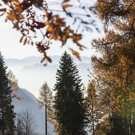 Hotel Der Zirmerhof 3*